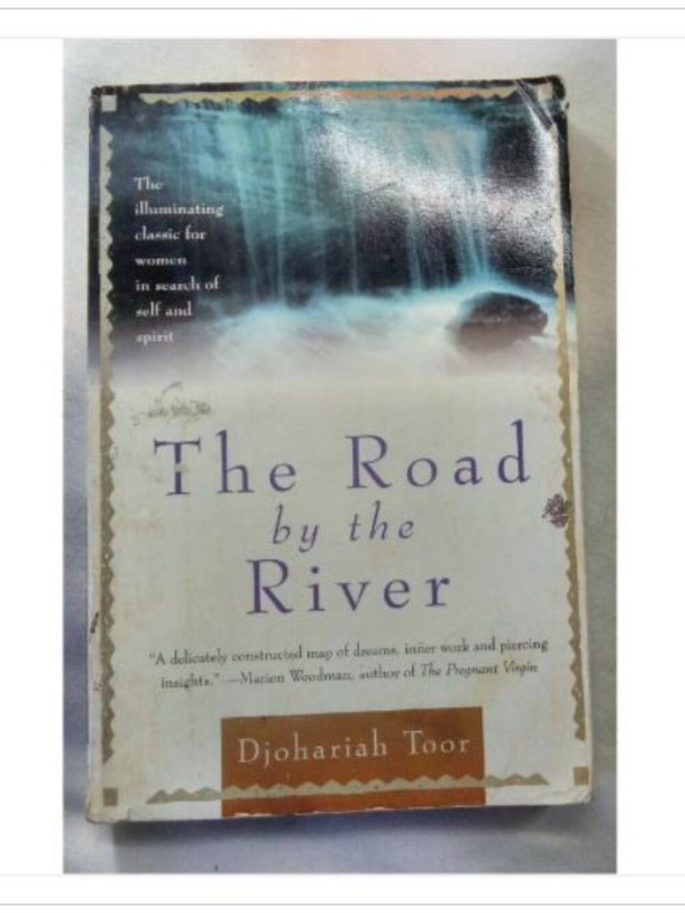 The Road by the River Djohariah Toor 1994 Paperback Book Vintage Novel Read